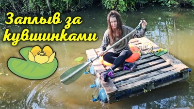 Заплыв за кувшинками