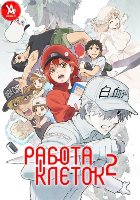 Работа клеток 2 / Hataraku Saibou!!